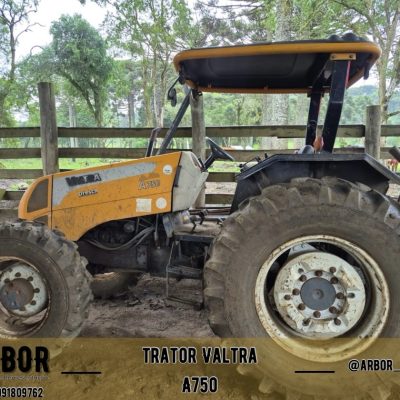arbor-2-89
