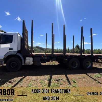 arbor-2-73